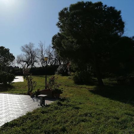 Le Tamerici B&B Ancona Ngoại thất bức ảnh